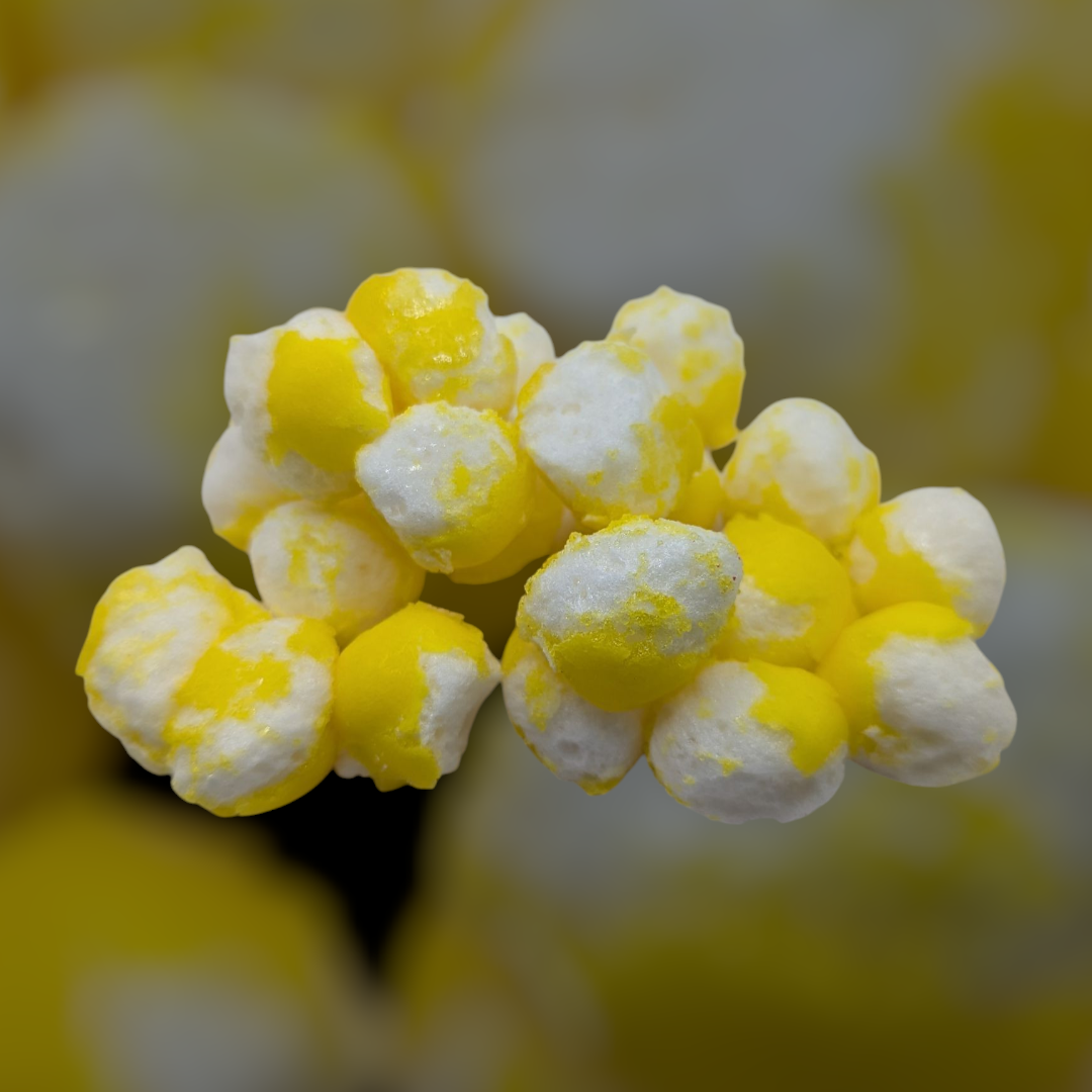 Freeze Dried Lemon Candy