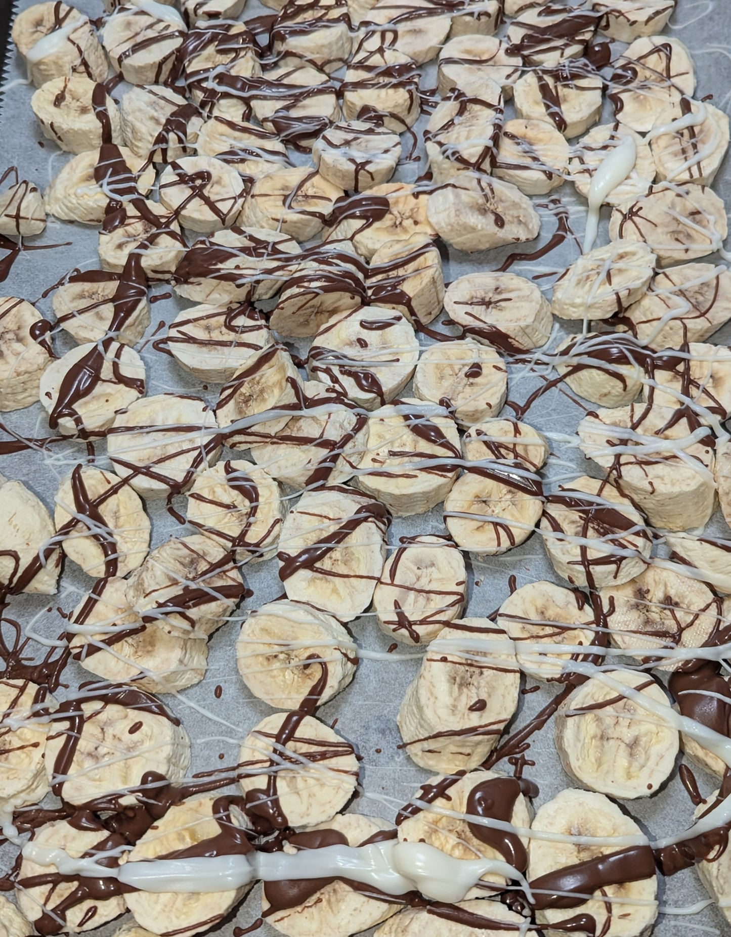 Freeze Dried Chocolate Bananas